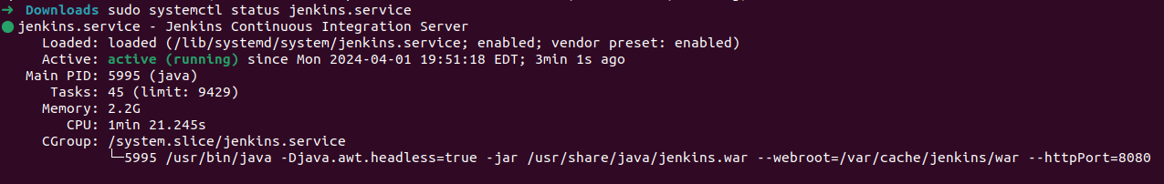Checking Jenkins Status